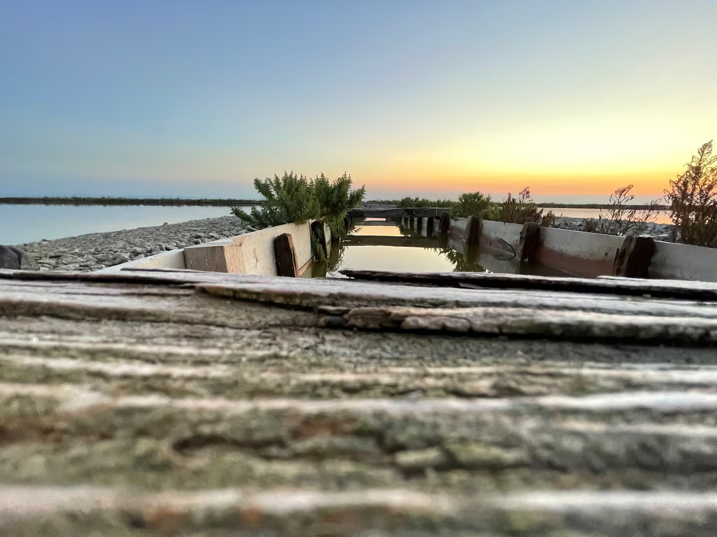 La Bomboniera Room & Breakfast a Cesenatico – foto 12